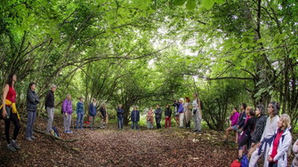 POSTI ESAURITI - Gli Alberi, passeggiata nel sentiero