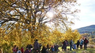 Lo Spirito degli Alberi