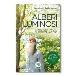 Alberi luminosi