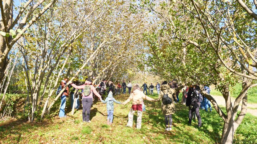 Lo Spirito degli Alberi