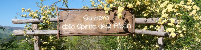 Ingresso sentiero dello spirito degli alberi